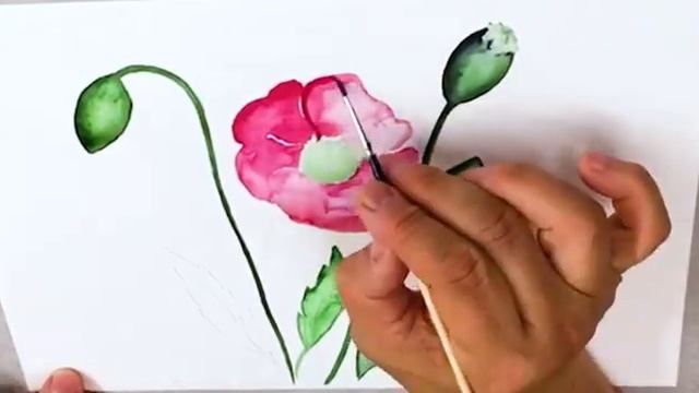 Рисуем вместе. Маки смотреть онлайн