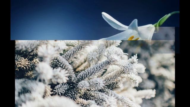 Точный гороскоп на 2022 год для знака Зодиака Лев: подробный по всем сферам для женщин и мужчин смотреть онлайн