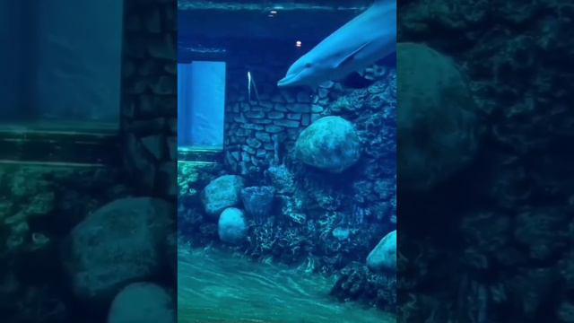 Фантастика смотреть онлайн