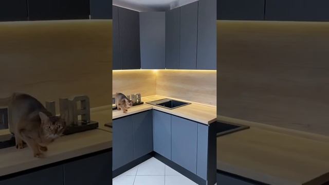 Было/Стало. Серая матовая кухня без ручек с деревянной столешницей в Гатчине. Кухни Проша смотреть онлайн