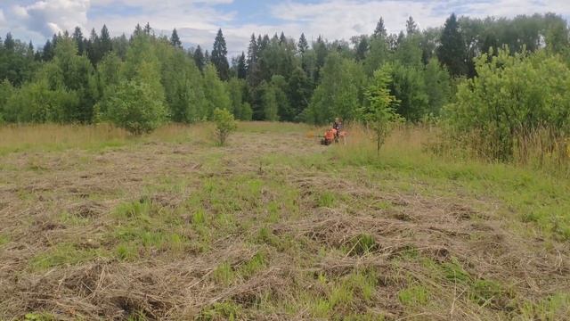 Кошение травы, ворошение и сгребание сена в валки на минитракторе смотреть онлайн