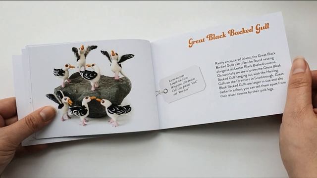 Flock! A Feltmeupdesigns Guide to Gulls of the British Isles смотреть онлайн