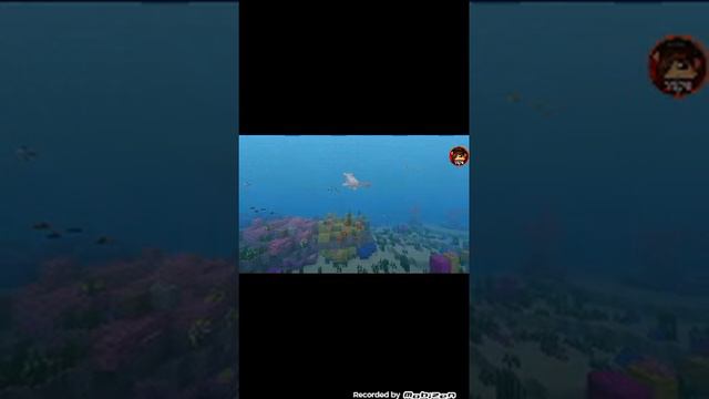 Как скачать мод на майнкрафт на машину смотреть онлайн