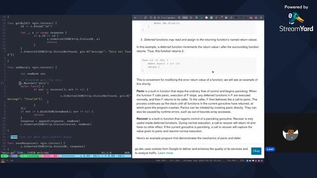 Late Night Golang Stream смотреть онлайн