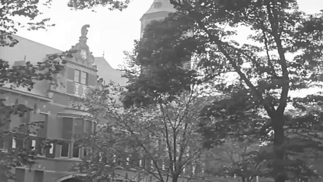 Вооруженное нападение на полицию, убийство сержанта Джеймса Вудса! смотреть онлайн