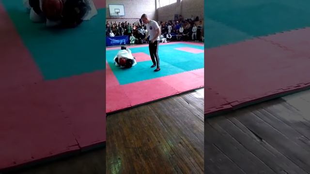 23.04.17 Кислицына Елизавета(красный пояс) Парване(синий пояс) смотреть онлайн