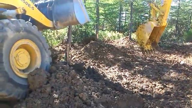 Пересадка Лиственницы в Магадане. смотреть онлайн