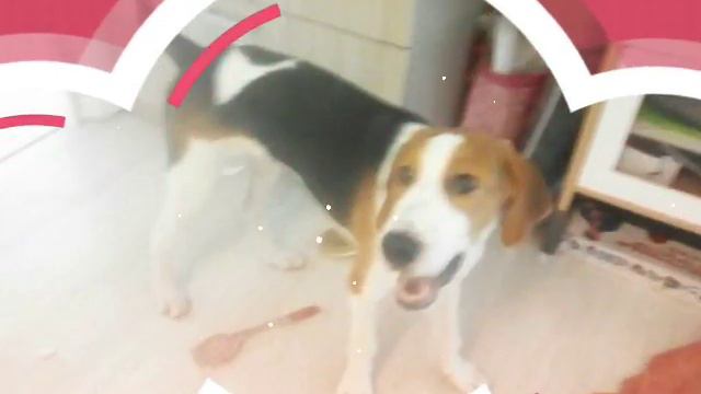 Кокос. ДО/ПОСЛЕ смотреть онлайн