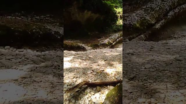 Абхазия 2019. 3 котла. Идём дальше вверх по реке смотреть онлайн