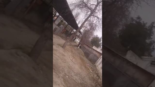 Не заводится Рено лагуна 1 нет искры смотреть онлайн