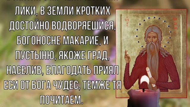 Помолись! Божественное благословение смотреть онлайн