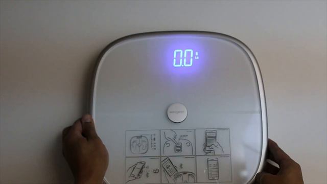 Koogeek S1 Bluetooth Weight Scale Review! смотреть онлайн