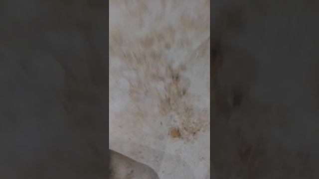 Как сделать шипучку для воды смотреть онлайн