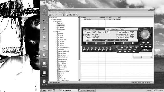 Luminous Polychem - Akai Z4 & Red Panda Particle v2.1.0.67 beta2 - Ambient Jam смотреть онлайн