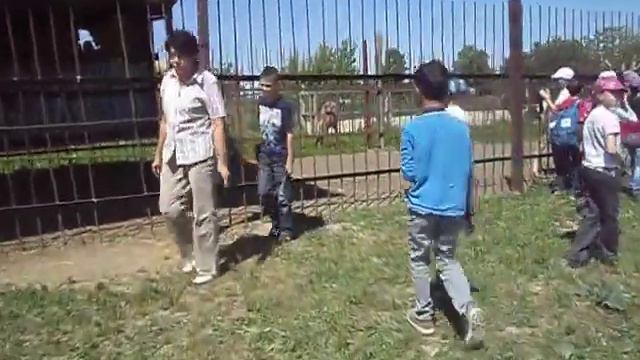 страусы смотреть онлайн