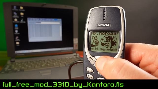 Secrets Of The Nokia 3310