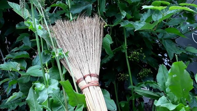 ВЕНИК. ПРИВЛЕЧЬ БОГАТСТВО.ИЗБАВИТЬСЯ ОТ НЕГАТИВА. ОБЕРЕГ. смотреть онлайн