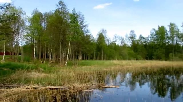 Торфяное, СВОЙ БЕРЕГ Комсомольского озера, участок 13,2 сотки. (999) 060-74-75. смотреть онлайн