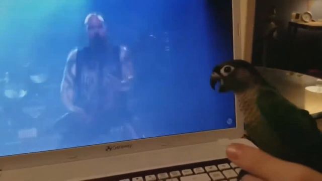 Ох, уж эти братья наши меньшие... Подборка приколов с животными! смотреть онлайн