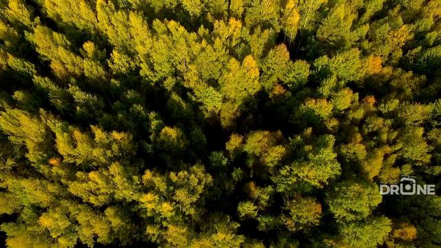 Ветлужские красоты! смотреть онлайн