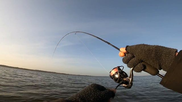 Sea trout fishing смотреть онлайн
