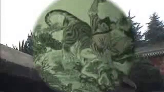 The Shaolin Temple - Part 1: History смотреть онлайн
