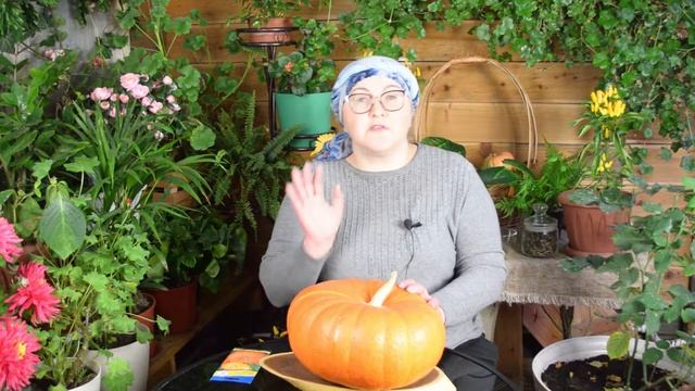 Тыква Конфетка: названию соответствует! Удачный сорт с вкусной и сладкой мякотью смотреть онлайн
