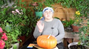 Тыква Конфетка: названию соответствует! Удачный сорт с вкусной и сладкой мякотью