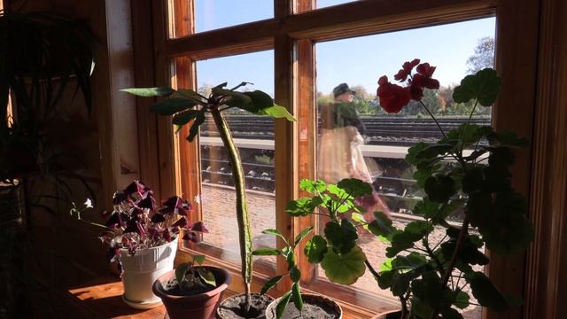 станция Астапово