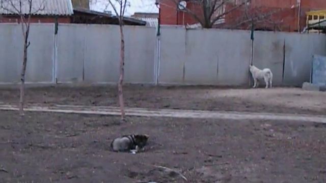 IMGP0002 смотреть онлайн