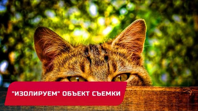 КОМПОЗИЦИОННЫЕ ПРИЕМЫ В ФОТОГРАФИИ - КРАТКОЕ ПОСОБИЕ В ПОМОЩЬ НОВИЧКУ ( С ПРИМЕРАМИ) смотреть онлайн