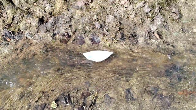 Весенний кораблик