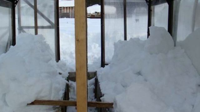 Некоторые дачники закидывают снег в теплицу: есть ли в этом смысл смотреть онлайн