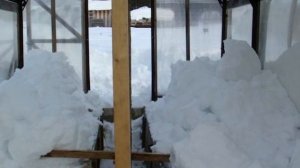 Некоторые дачники закидывают снег в теплицу: есть ли в этом смысл