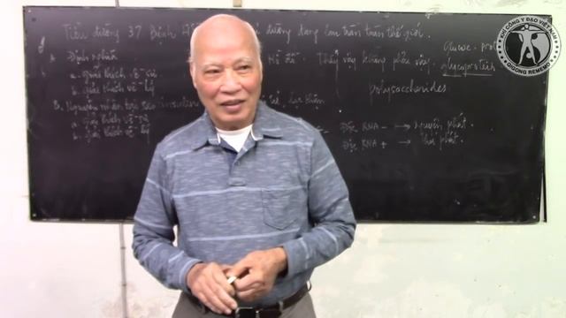 Tiểu đường 37. Bệnh hồ đồ về tiểu đường đang lây lan toàn thế giới. смотреть онлайн
