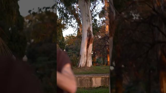 Андрей Ясинский - Флейта в Абхазии смотреть онлайн