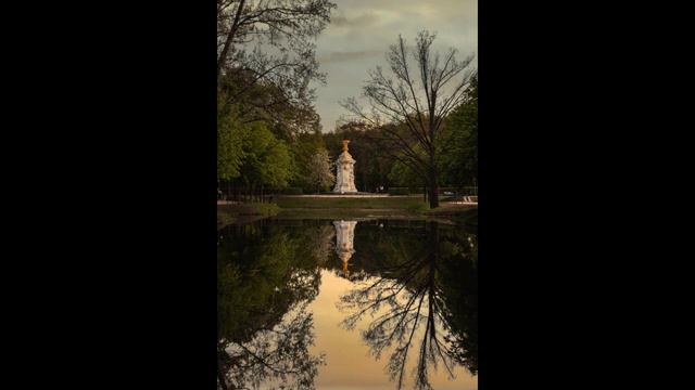 Joseph Haydn String Quartet in D major Lark III Menuetto Allegretto смотреть онлайн