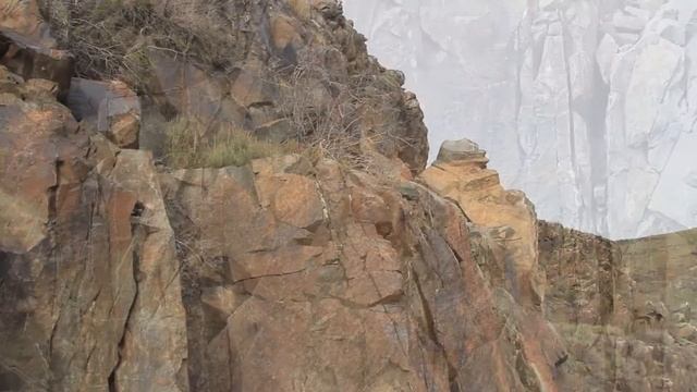 Kazakhstan. Rock paintings. Tamgali Tas. Рисунки Бронзового века. Тамгалы смотреть онлайн