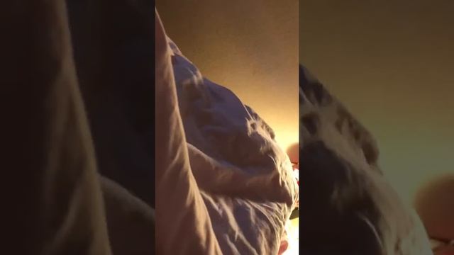 Лисички во мху. Урок русского языка 2 класс. смотреть онлайн