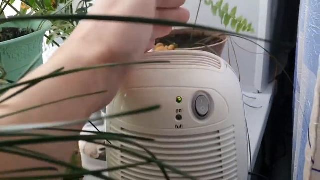 Строительные Шаги