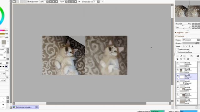 Как нарисовать кота по фотографии смотреть онлайн