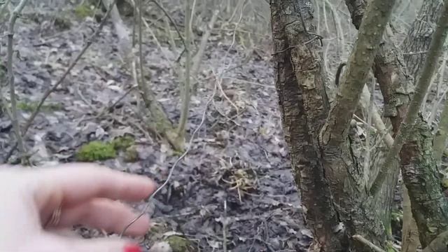 Петли на дачах с. Лука Мелешковская смотреть онлайн