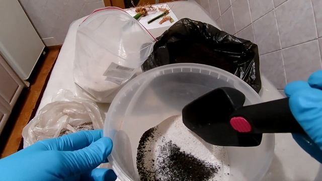 Сансевиерия (часть 2) | Пытаюсь спасти | Грунт для сансевиерии.