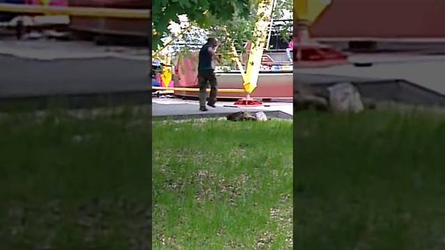 Нормальным быть скучно смотреть онлайн