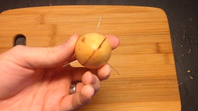 How To Grow An Avocado Tree - Growing Avocado Seeds