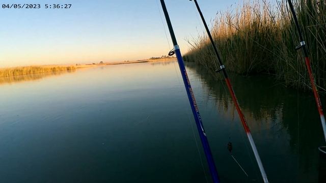 Рыбалка на Маныче / Май2023 / 1 серия смотреть онлайн