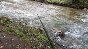 Горная река на усачи рыбалка на фарель.в крыму