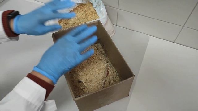 Как сохранить корнеплоды в условиях квартиры смотреть онлайн