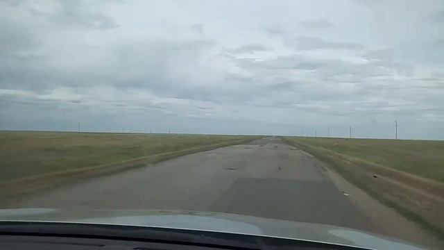 Дорога из Коргалжынского заповедника смотреть онлайн