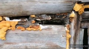 Сгнила баня, замена венцов установка на железобетонные плиты.